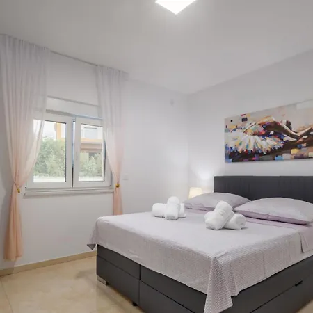 Shaula 2 By Guide Sibenik